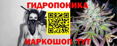 спайс Гусев