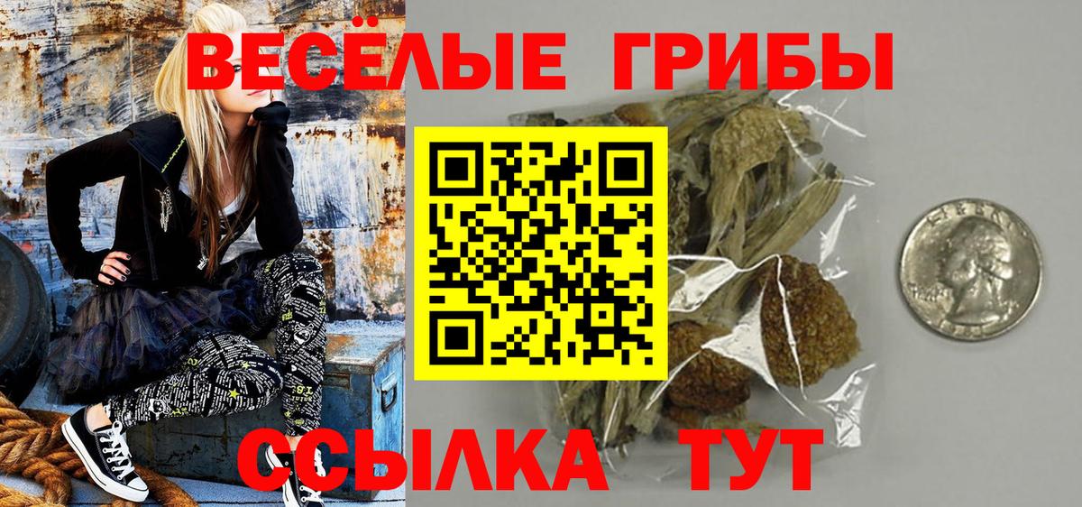 Назарово  Псилоцибиновые грибы ЛСД  Вход с VPN 